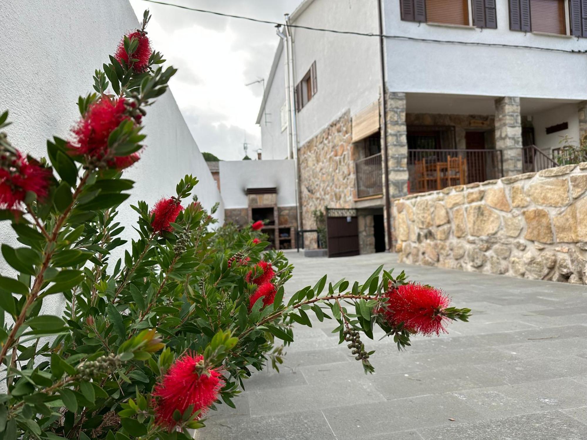 El Secreto Del Pinar Holiday home